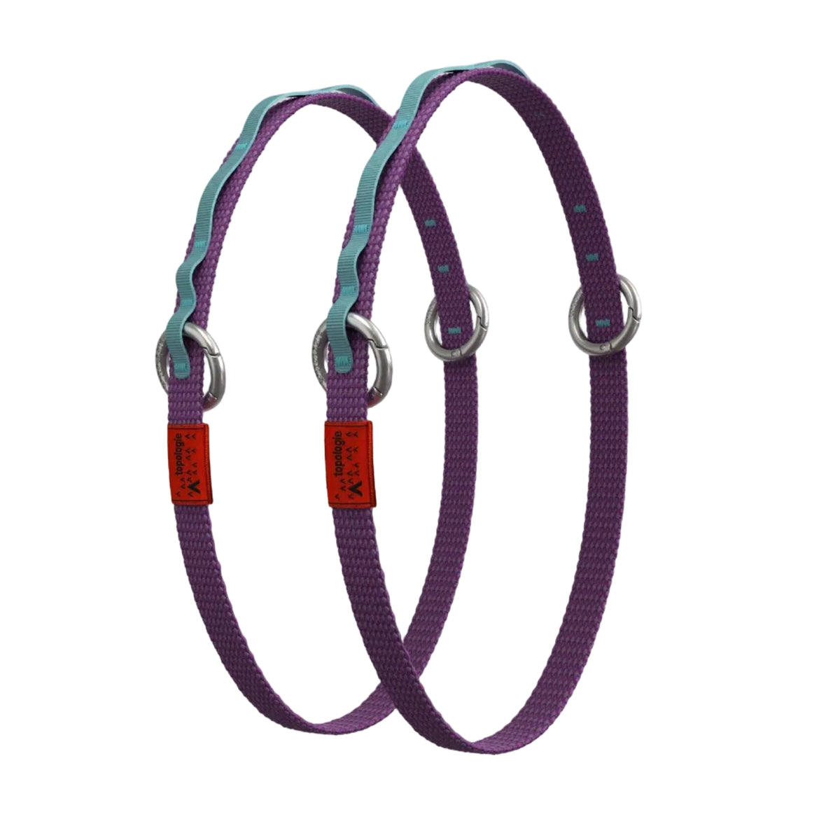 Topologie Strap 20mm Webbing Loop Blush