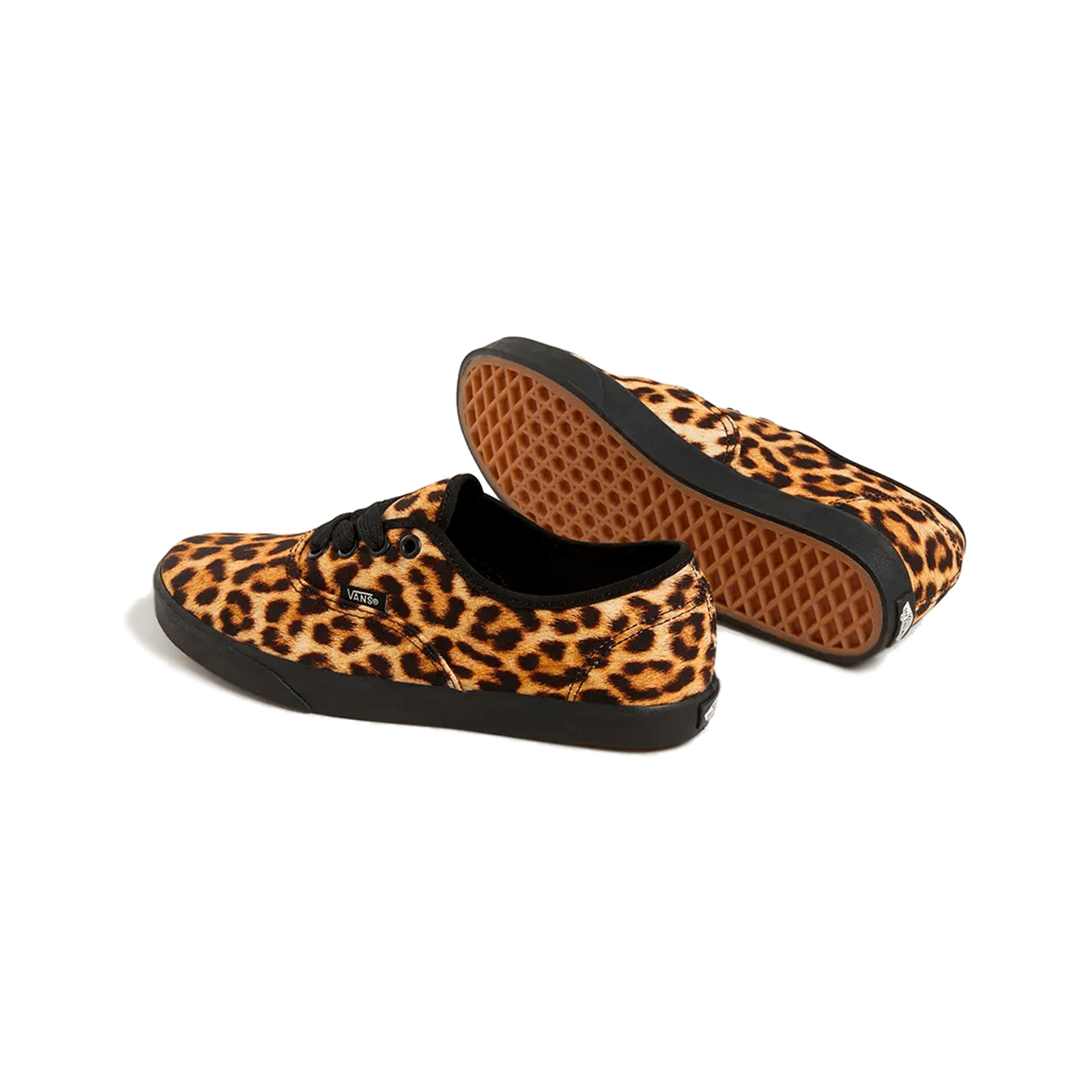 Vans Authentic Lowpro Leopard - @dv