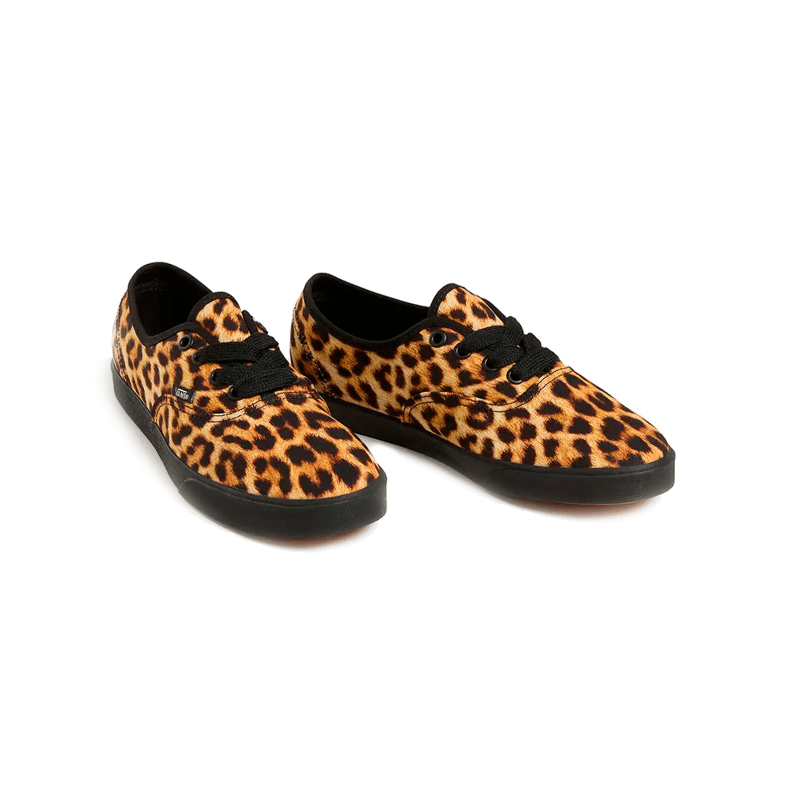 Vans Authentic Lowpro Leopard - @dv